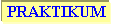 Textfeld: Praktikum /Job
